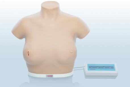 電子乳腺癌觸診、視診訓練模型