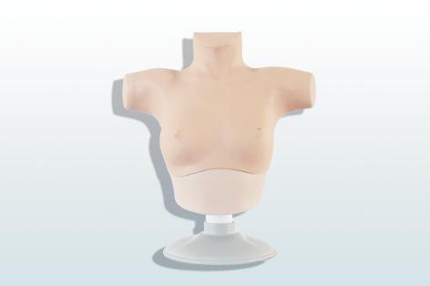 乳腺癌觸診、視診訓練模型