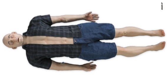 超級(jí)智能綜合模擬人東慧成,型號(hào)DHG-SM101 超級(jí)智能綜合模擬人東慧成,型號(hào)DHG-SM101